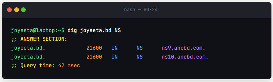 Let's Query DNS with dig — A Beginner's Hands-On Tutorial